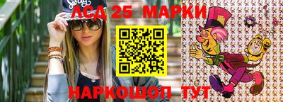 apvp Беслан