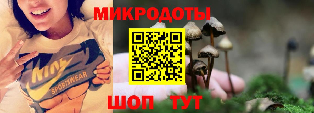 Галлюциногенные грибы Psilocybe Зеленодольск